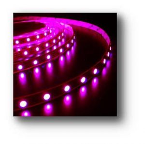 LAMPU LED Strip 3528 Outdoor