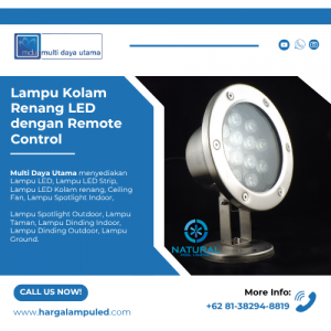 Lampu Kolam Renang LED dengan Remote Control